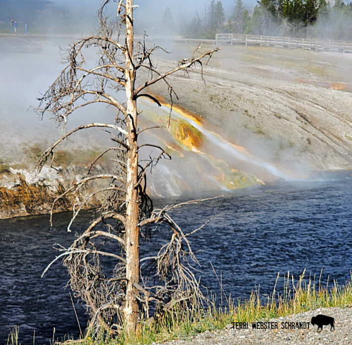 geothermal spring runoff