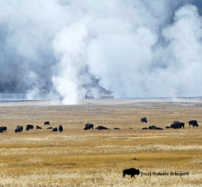 Sunday Stills: Fountains and Falls, Featuring Geysers of&nbsp;Yellowstone