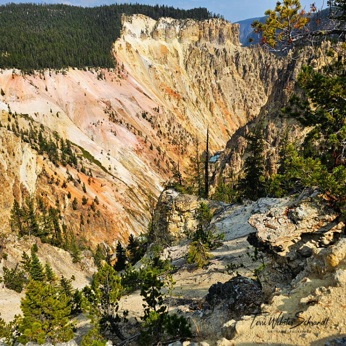 Grand Canyon of the Yellowstone