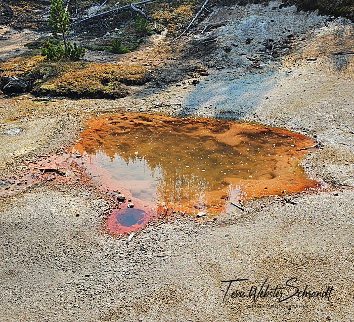 orange pool in yellowstone
