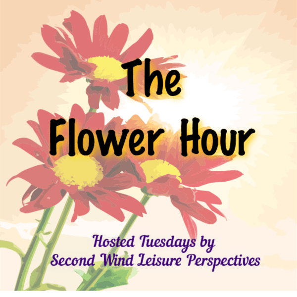 flower hour badge