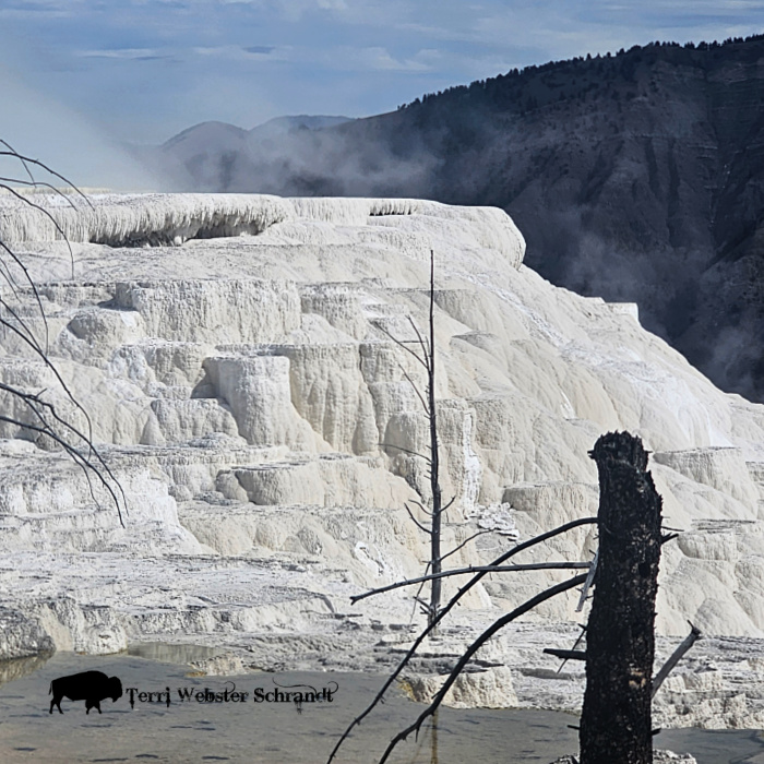 Mammoth Hot Springs
