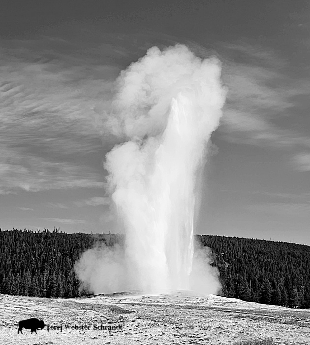 geyser black and white