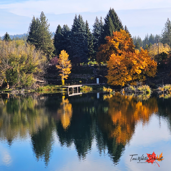 Sunday Stills: Meet Me in the Woods for #Leaf&nbsp;Peeping