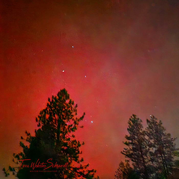 red aurora