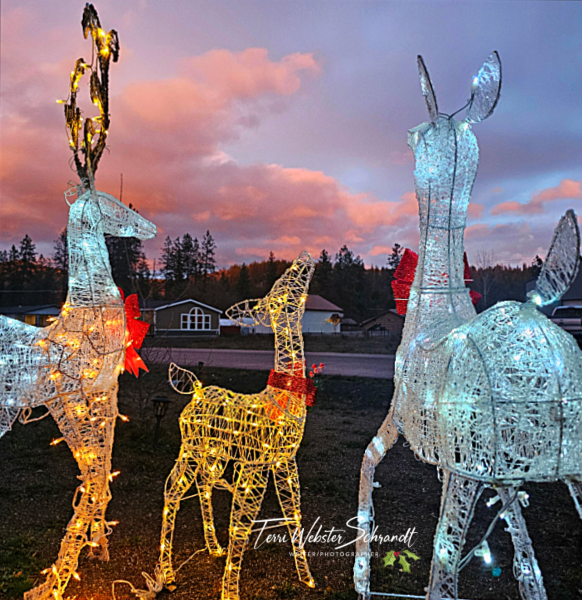 lighted deer