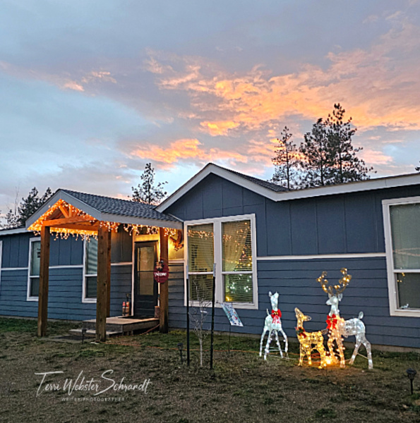 christmas time winter