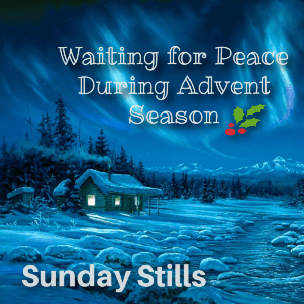 Sunday Stills: Waiting for #Peace During Advent&nbsp;Season