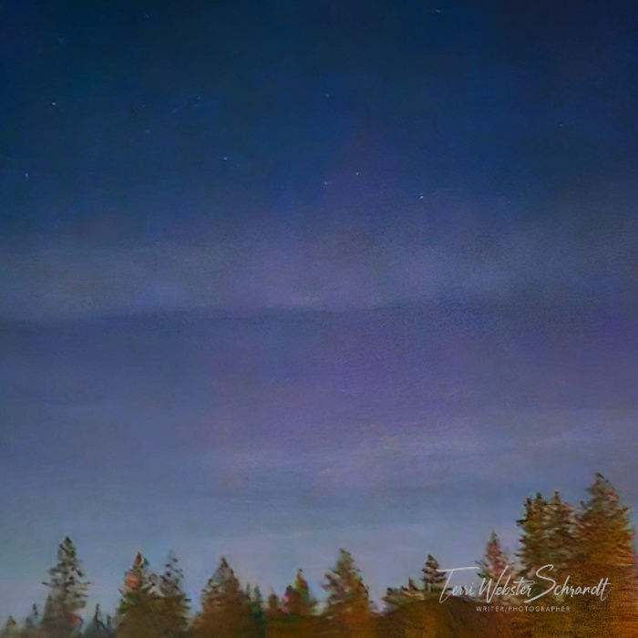 purple northern lights