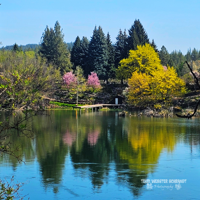 soring color on the lake
