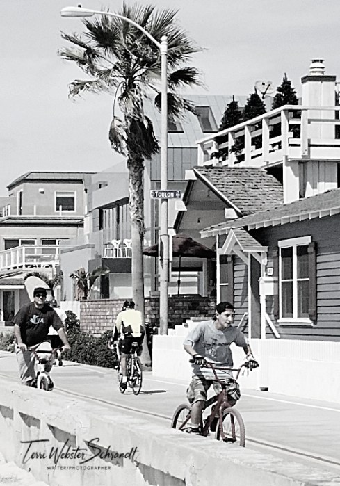 beach bicycles