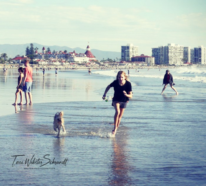 people on the beach