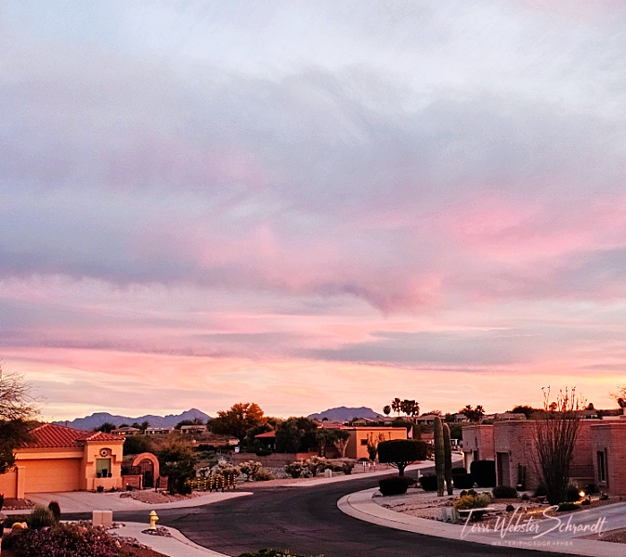 pink desert sunset