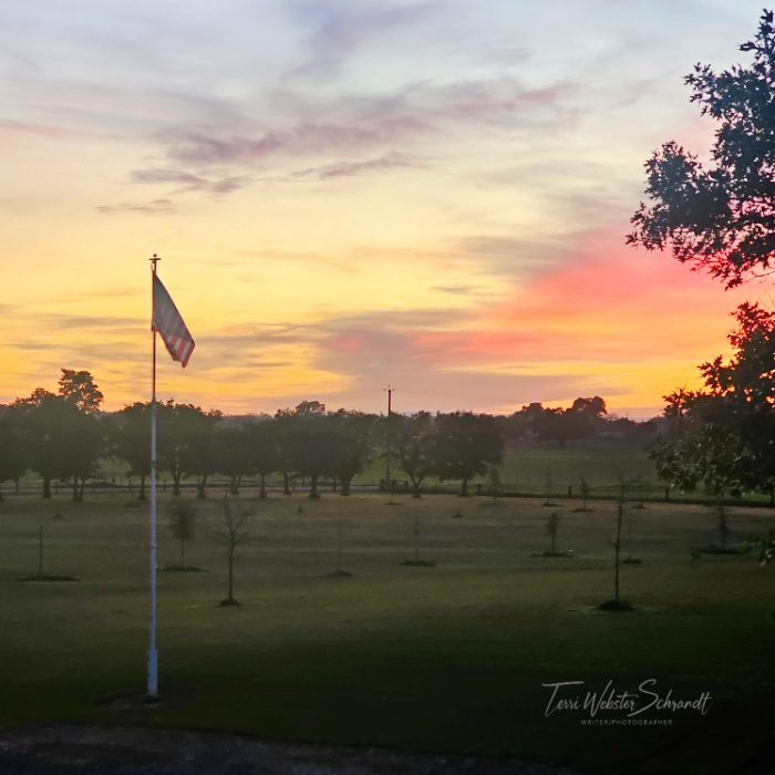 sunrise 