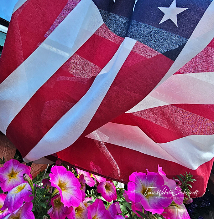 petunias and US flag