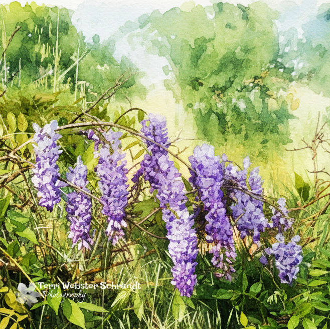 The Flower Hour #33: Wistful Wysteria