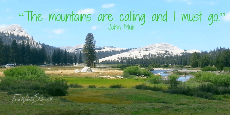 Sunday Stills Monthly Color Challenge: Exploring (EVER)GREEN and Wonder In the Great Outdoors