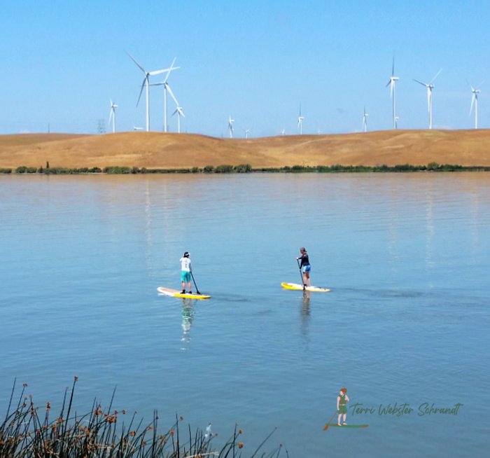 two paddleboarders