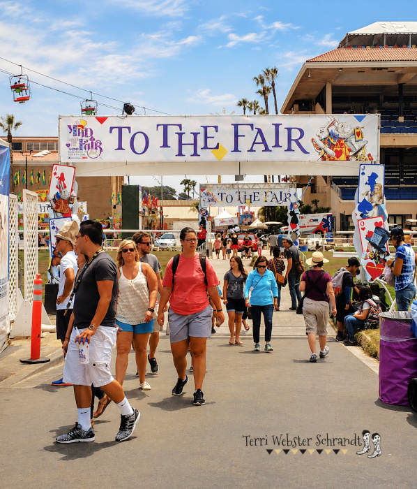 Sunday Stills: A Day at the Fair, An Evening at the&nbsp;Rodeo