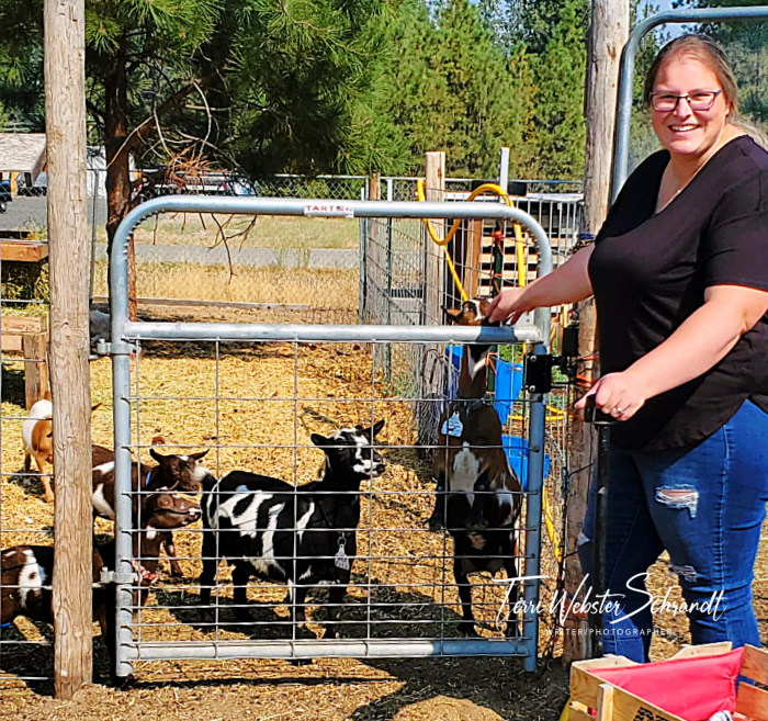 woman and goats