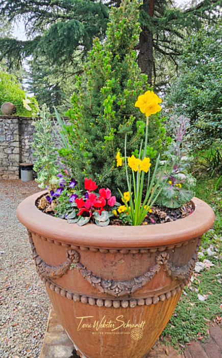 planter of flowers