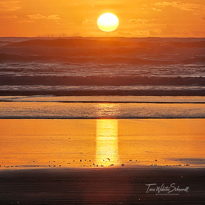 ocean sunset reflection