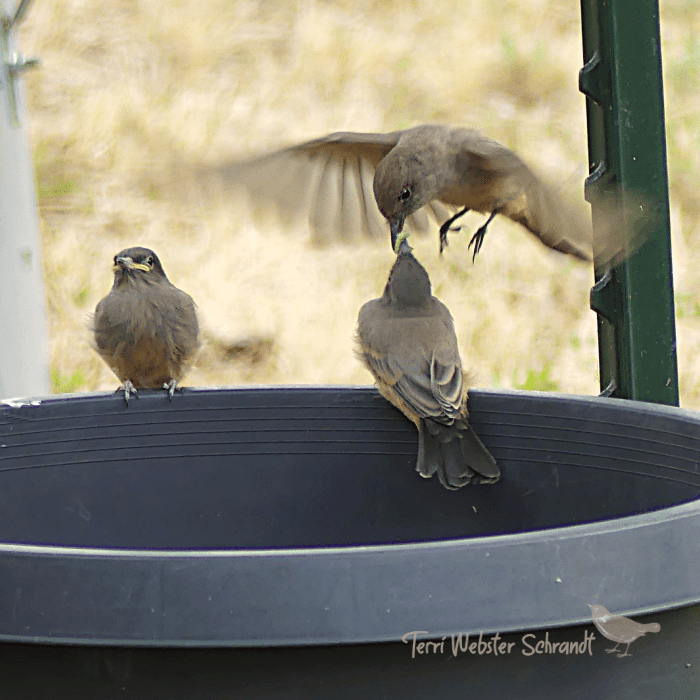 Sunday Stills: Groups of 3 or&nbsp;More