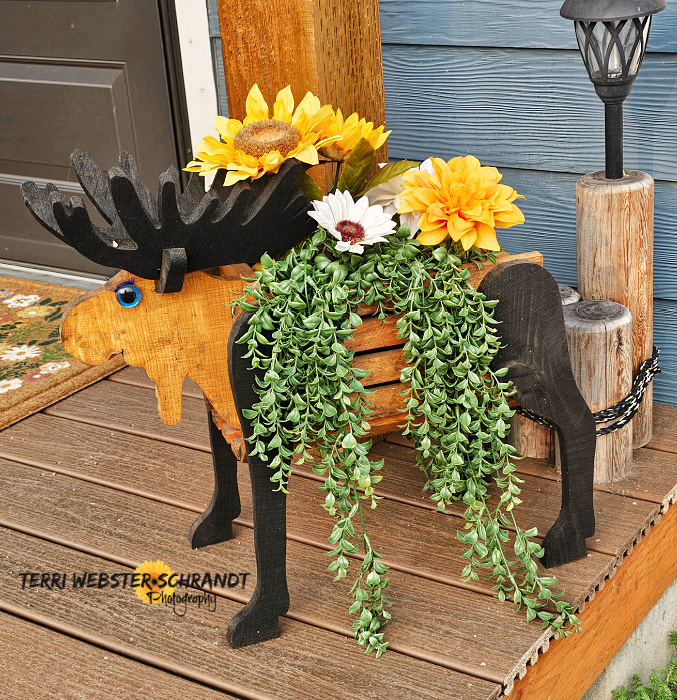 wooden moose decor