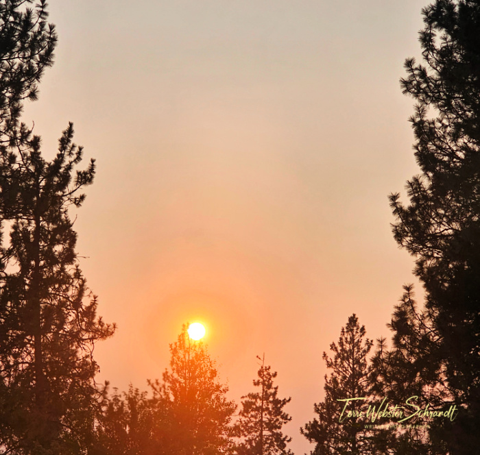 smoky sun
