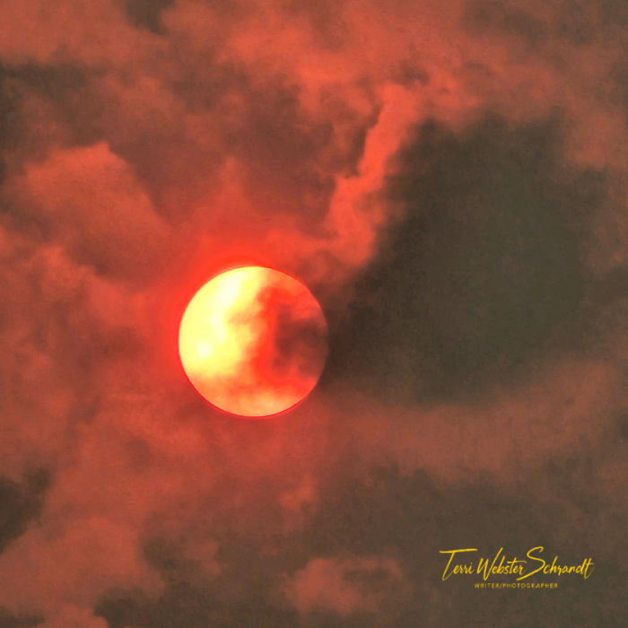 smoky sun