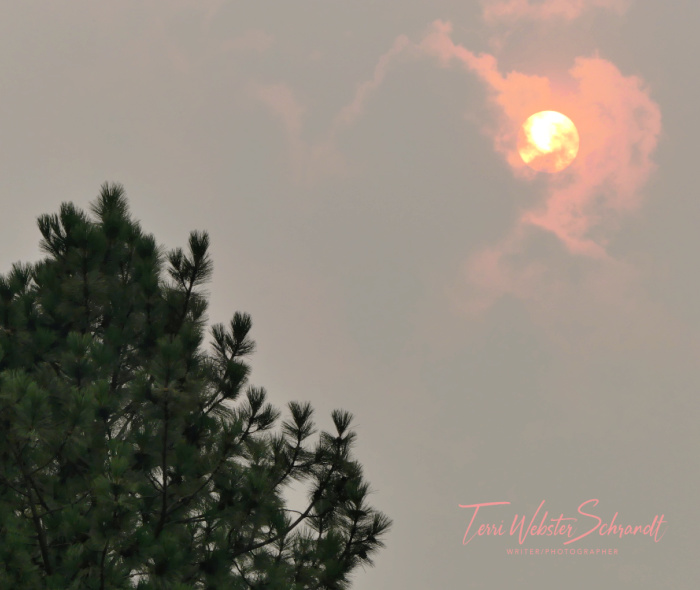 smoky evening sun