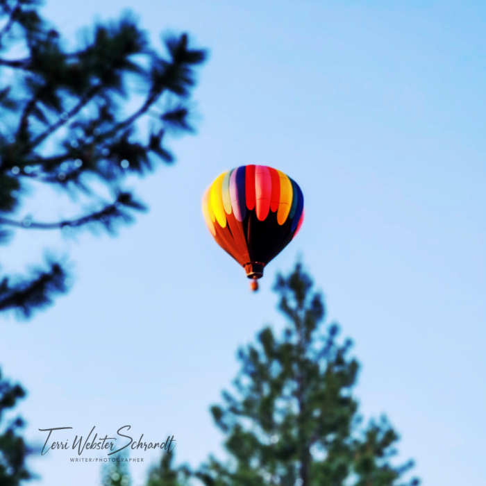 hot air balloon