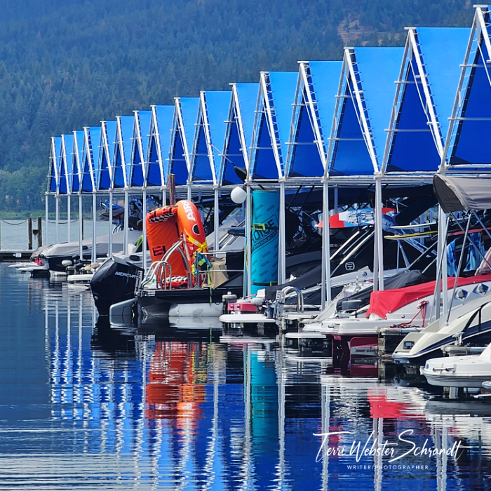 blue dock and marina