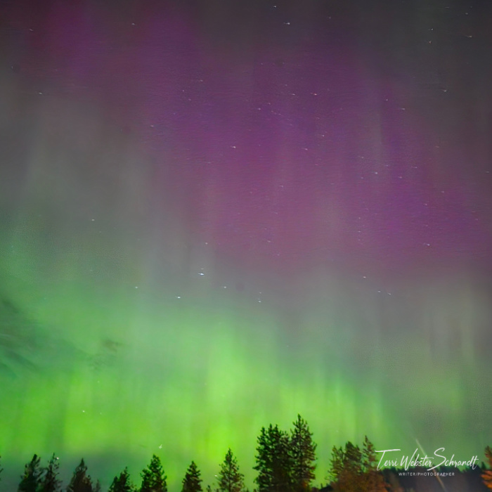 northern lights