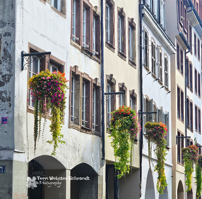 Strassbourg apartment and flowers