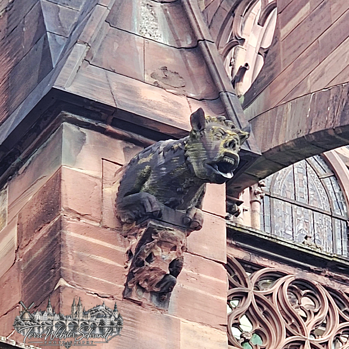 gargoyle Strasbourg's Cathedral of Our Lady