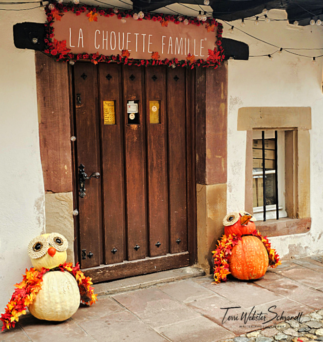 Dark Brown Door, Strasbourg, France