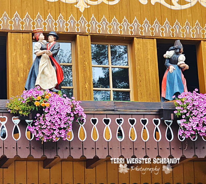 closeup Life sized cuckoo clock germany
