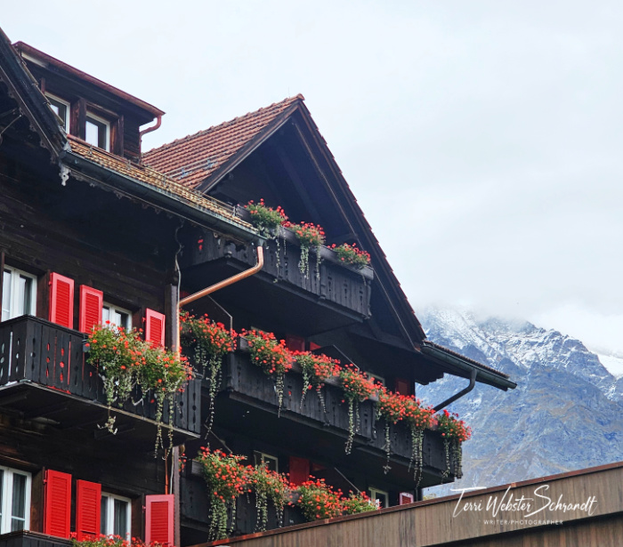 Swiss Hotel