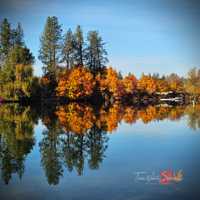 Late October's autumn show