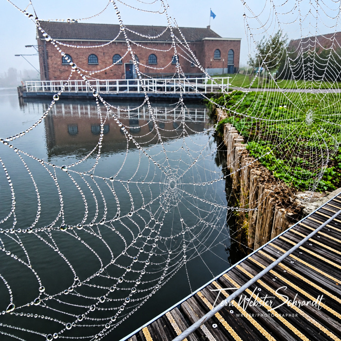 web view of waterfront