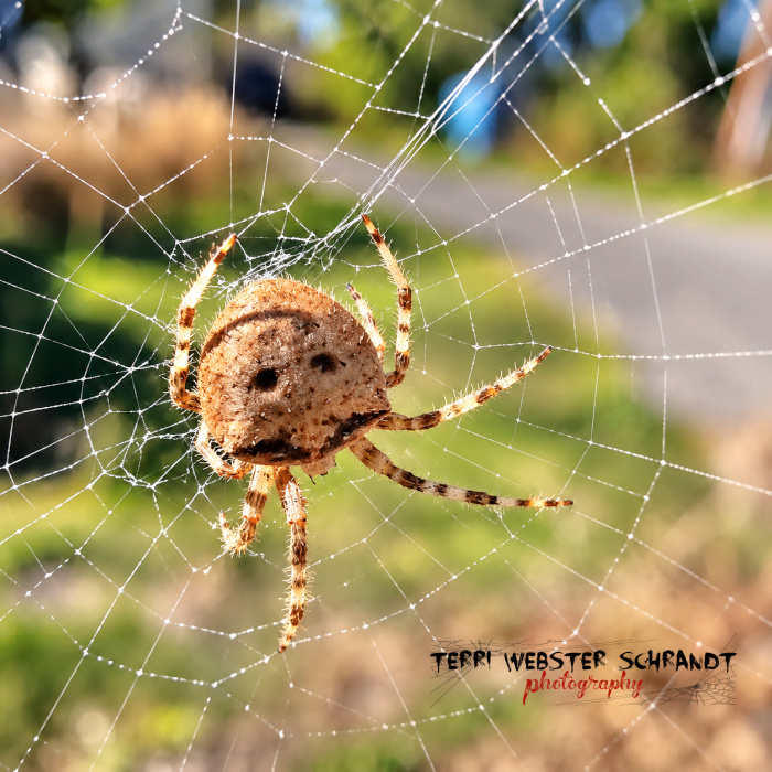 Sunday Stills Animal of the Month: What's #Scary in the Animal&nbsp;Kingdom?